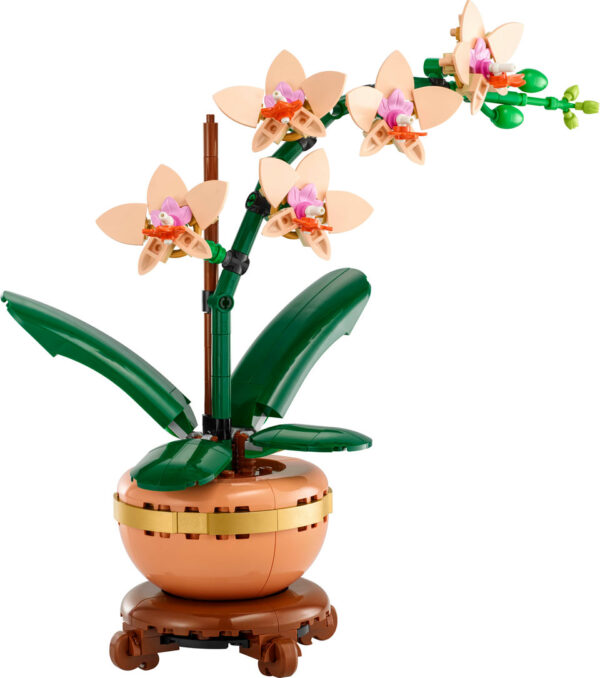 LEGO Icons Mała Orchidea 10343, zdjęcie 3