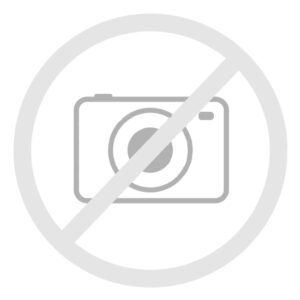 LEGO Ideas 21325