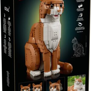 LEGO Ideas Rudy kot 21376 — zdjęcie 4