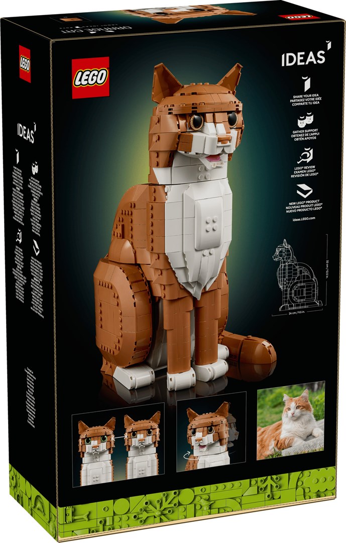 LEGO Ideas Rudy kot 21376 — zdjęcie 4