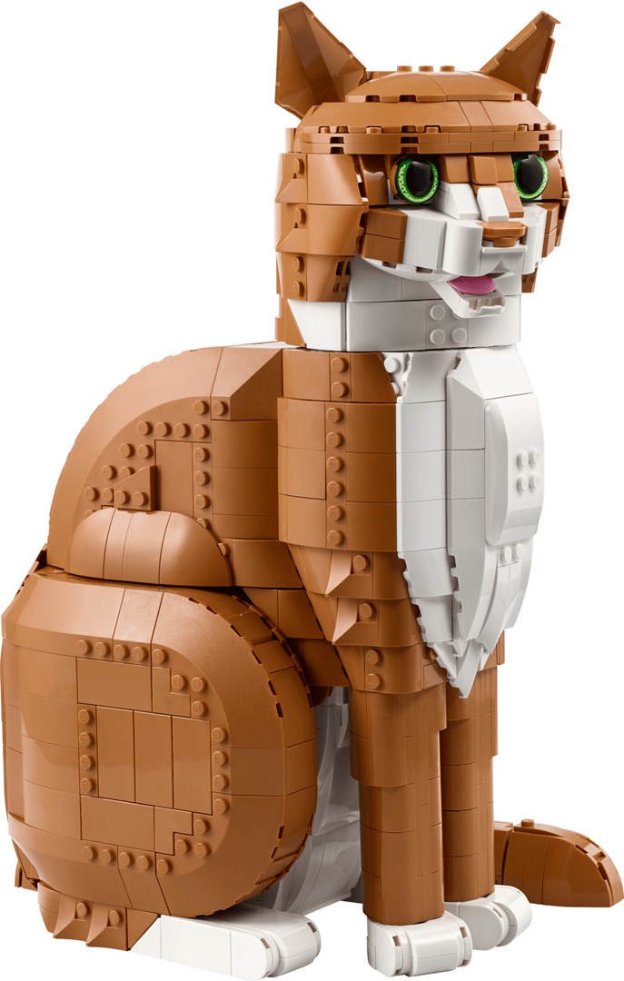 LEGO Ideas Rudy kot 21376 — zdjęcie 5
